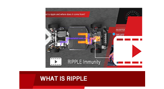 Ripple immunity video
