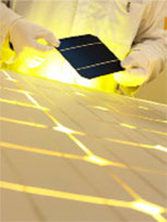 Research Scholar in the Field of Surface and Form Metrology Softwares and Instruments
