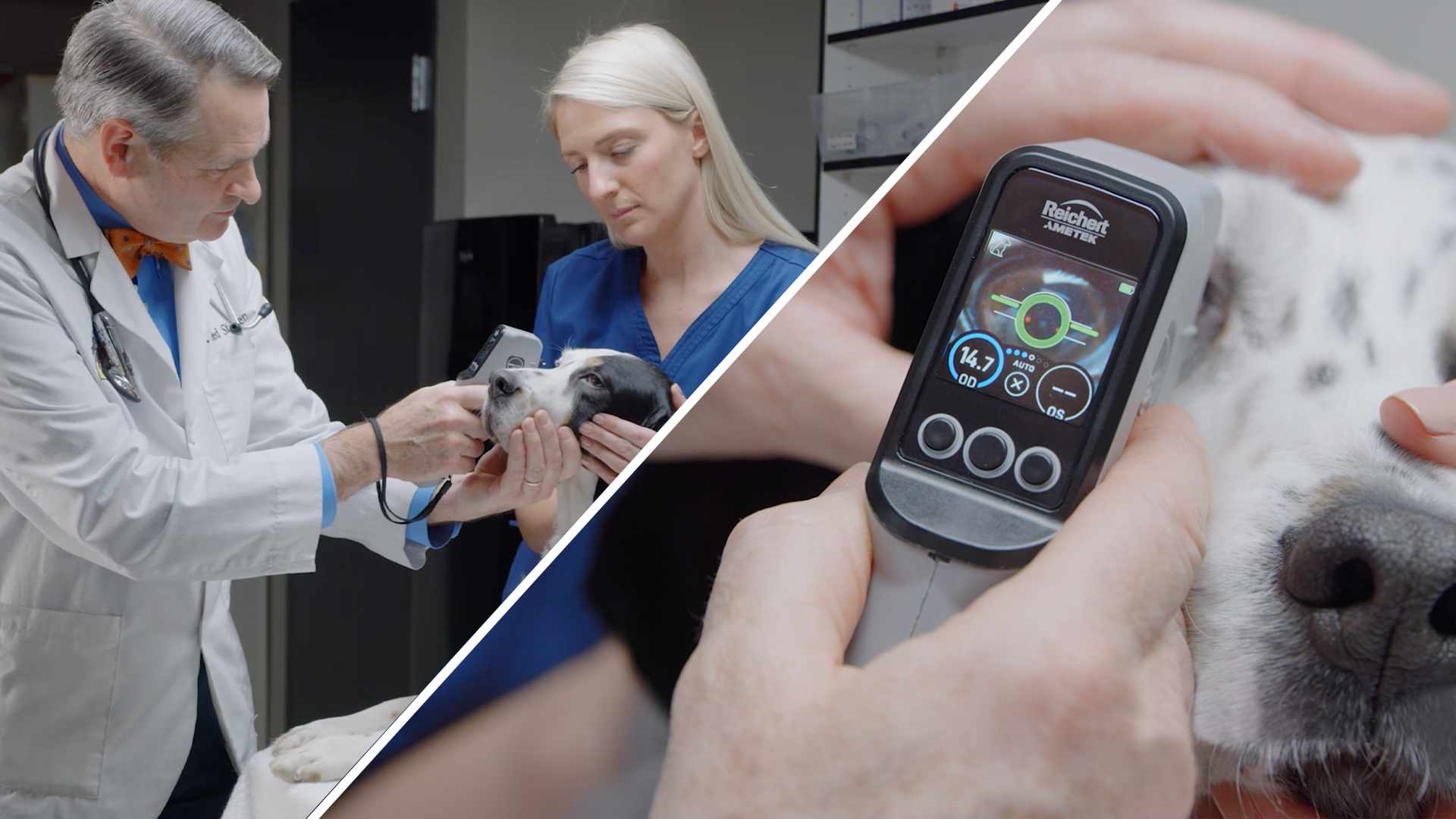 Tono-Vera® Vet Veterinary Handheld Tonometer - Reichert Technologies ...